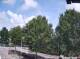Julianadorp 15.06.2025 15:11