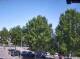 Julianadorp 19.04.2025 15:11