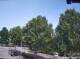 Julianadorp 16.05.2025 15:11