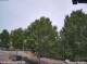 Julianadorp 08.06.2025 15:11