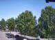 Julianadorp 10.05.2025 15:11