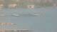 Balaruc-les-Bains 30.06.2025 15:11