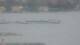 Balaruc-les-Bains 29.04.2025 15:11