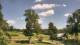 Davidsonville, Maryland 03.07.2025 15:32