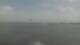 Arabi, Louisiana 08.06.2025 15:33