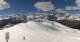 Chamois 30.04.2025 15:12