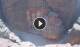 Petra 02.07.2025 15:11