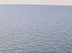 AIDAbella 14.03.2025 15:12