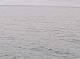 AIDAbella 24.06.2025 15:11