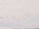 AIDAprima 24.06.2025 15:11