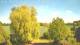 Mandelsloh 30.04.2025 15:12