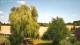 Mandelsloh 02.07.2025 15:12
