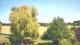 Mandelsloh 11.06.2025 15:12