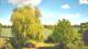 Mandelsloh 17.04.2025 15:12