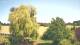 Mandelsloh 14.06.2025 15:12