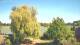 Mandelsloh 10.05.2025 15:12