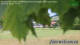 Weitnau 03.07.2025 15:57