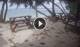 Anse Parnel (Mahé) 19.06.2025 15:13