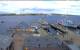 Halifax 14.06.2025 15:00