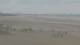 Dunkerque 04.06.2025 15:13