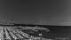 Andora 02.07.2025 15:13