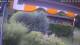 Bad Harzburg 14.07.2025 15:49