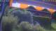 Bad Harzburg 09.05.2025 15:48