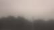 Wayland, Massachusetts 10.07.2025 15:34