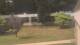 Cold Spring Harbor, New York 11.07.2025 15:34