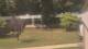 Cold Spring Harbor, New York 15.07.2025 15:34