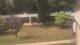 Cold Spring Harbor, New York 05.07.2025 15:34
