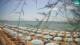 San Vincenzo 05.07.2025 15:14