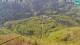 Velika Planina 29.04.2025 15:16