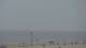 Scheveningen 14.06.2025 15:16