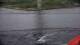 Saltstraumen 08.06.2025 15:12