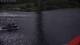 Saltstraumen 14.06.2025 15:12