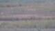 Les Landes-Genusson 15.06.2025 15:16