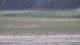 Les Landes-Genusson 16.03.2025 15:17