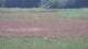 Les Landes-Genusson 10.07.2025 15:16