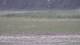Les Landes-Genusson 08.05.2025 15:16