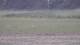 Les Landes-Genusson 11.05.2025 15:16