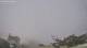 Chennai (Madras) 09.06.2025 15:46