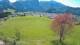 Abtenau 30.04.2025 15:17
