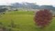 Abtenau 25.04.2025 15:17