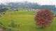 Abtenau 22.03.2025 15:17