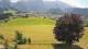 Abtenau 14.06.2025 15:17