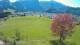Abtenau 29.04.2025 15:17