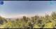Gorga 05.07.2025 15:18