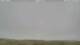 Carinish 09.07.2025 15:18