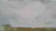 Carinish 08.06.2025 15:18